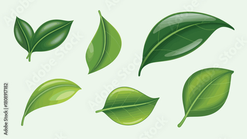 Collection of vibrant green leaves isolated on