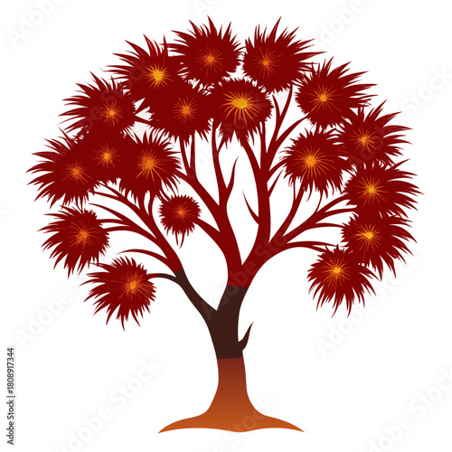 floss corymbia ficifolia fairy 