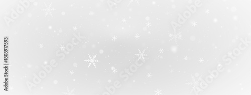  snowflakes isolated on white background.