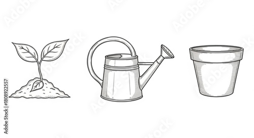 Gardening tools illustration: seedling, watering can and flower pot vector design for garden and plant care