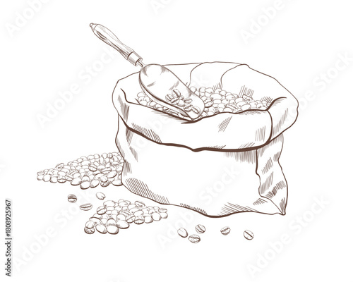 Coffee beans in burlap sack,vintage metal scoop with a wooden handle in black and white vector illustration.Minimalistic,elegant design for packaging,labels or rustic-themed projects