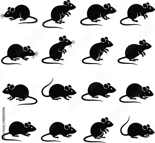 hand drawn silhouette of rats,Collection of black rodent silhouettes in various poses on clean white background.