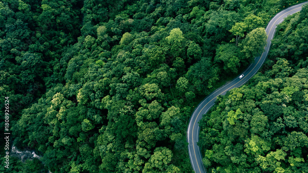 Fototapeta premium Top view road in beautiful autumn forest at sunset, trees with red and orange leaves , Beautiful landscape view from flying drone in Nature