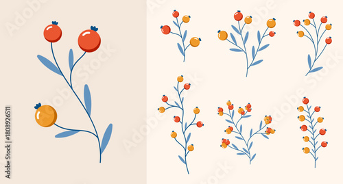 Set of wild berries. Winter plants. Winter branches and leaves. Winter floral elements. Holiday decoration. Vector illustration