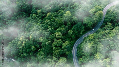 Aerial view of a winding road curving through lush green tropical forest with misty atmosphere. Scenic mountain highway surrounded by dense jungle and natural landscape.