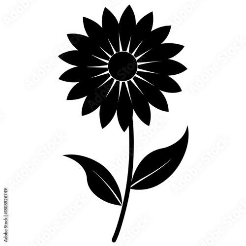  black eyed susan flower isolated on white background