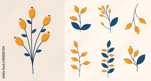 Set of wild berries. Winter plants. Winter branches and leaves. Winter floral elements. Holiday decoration. Vector illustration