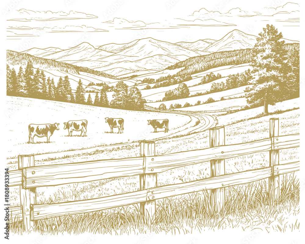 Fototapeta premium Spacious pastures on hills. There are mountains and forests on the horizon. Cows graze in field, grass and bushes in foreground. Vector illustration. Sketch is linear drawing on a white background80