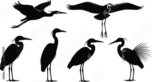 Heron and crane bird silhouette collection, standing and flying poses, detailed black vector illustration for wildlife, nature, wetland, and design elements