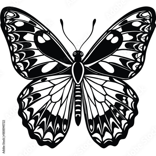 Detailed black and white illustration of a butterfly with intricate wing patterns and antennae