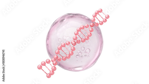 Pink DNA Helix and Bubble for PDRN Salmon DNA and Collagen Peptide