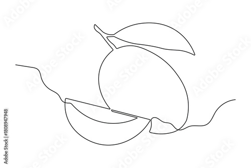  Elegant mango one line artwork in simple minimalist outline