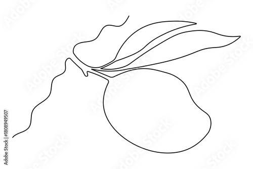 Minimalist mango design using a continuous single line drawing