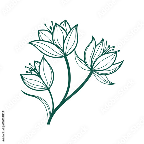 Delicate hand drawn sketch of three blooming flowers