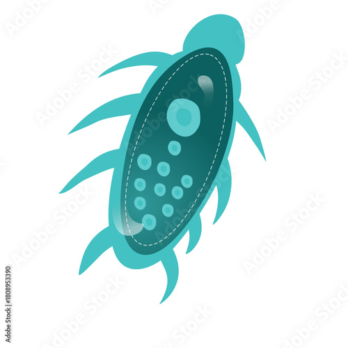 Amoeba Flat Illustration organism concept for science education and research use
