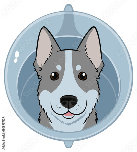 Charming Cartoon Dog with Gray and White Fur in a Blue Pet Carrier looking straight ahead, cute canine illustration