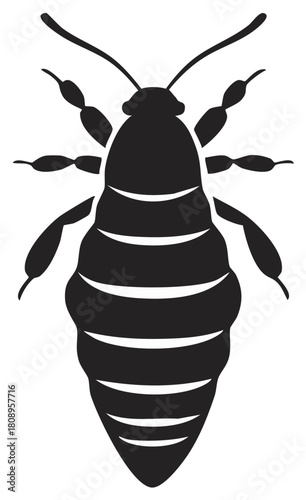 Black silhouette of a parasitic bed bug insect. Top view vector graphic icon of a pest.