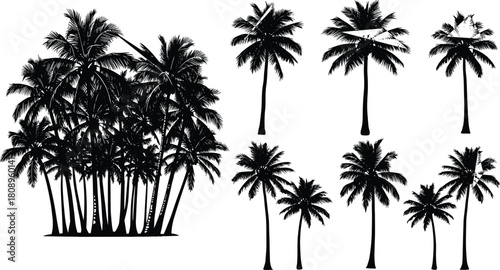 Palm tree silhouette collection, tropical island coconut palms, detailed black vector illustration set for beach, vacation, summer, and nature designs