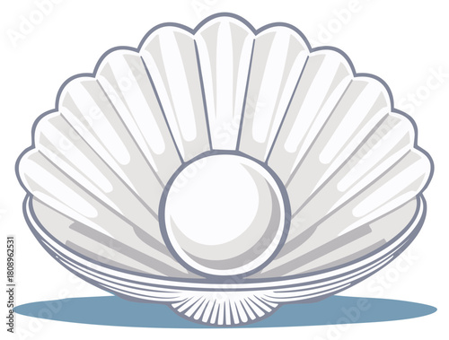 Elegant Scallop Shell with Pearl Inside Nautical Treasure Clam Marine Life Ocean Coast Luxury Jewelry Beautiful Treasure