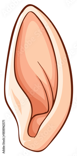 Cartoonish Human Ear with Pointed Tip for Cosplay or Fantasy Illustration