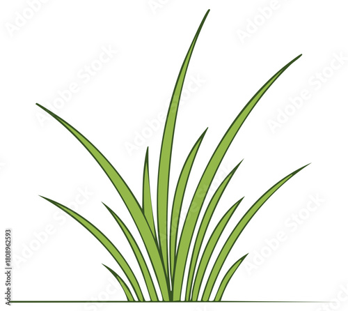 Vibrant Green Grass Blades Vector Illustration, Simple Natural Plant Element Design