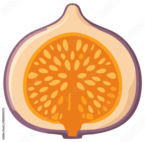 Half Fig Illustration Tropical Fruit Slice Healthy Food Vegan Diet