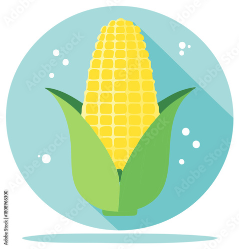 Yellow corn cob with green husk, flat design vector illustration graphic, fresh sweet corn