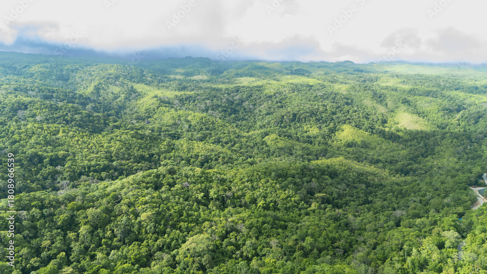 Fototapeta premium A winding road through the dense forest of Sumba, the main road connecting the regencies on Sumba Island