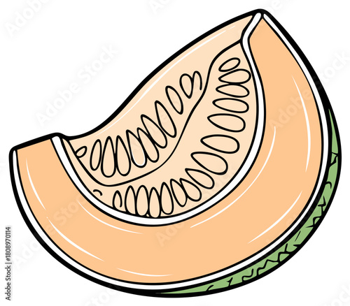 Fresh cantaloupe melon wedge illustration with juicy orange flesh and seeds
