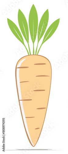 Nutritious cartoon carrot a fresh healthy garden root vegetable illustration