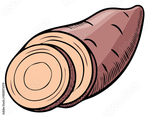 Sweet Potato with Slices Illustration Natural Healthy Root Vegetable
