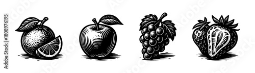 Mixed fruits vintage style engraving icons, organic food set