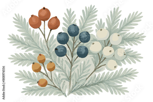 Winter Berry Delight. Collection of winter berries, rich in texture and earthy tones, nestled among softly painted fir branches. The berries offer a focal point. Vector illustration