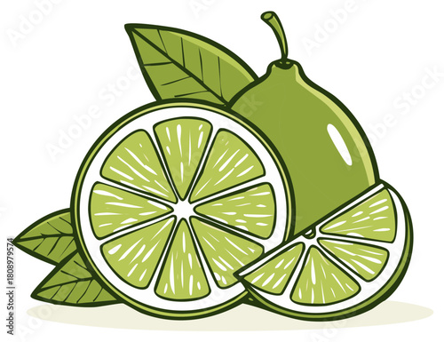 Fresh green lime fruit with slice, wedge and leaves vector illustration