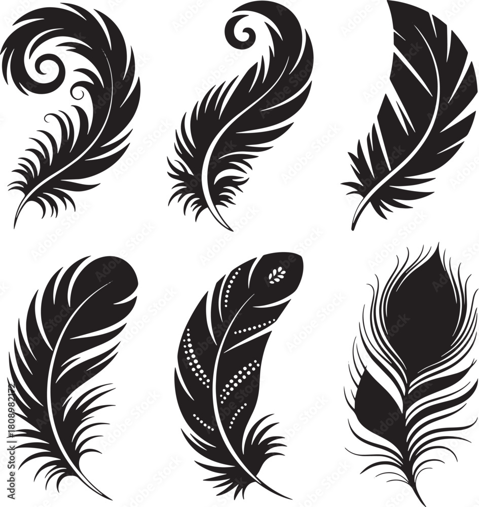 Obraz premium Six black and white stylized feather graphics with decorative elements quill vector