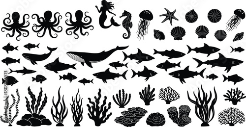 Octopus, Whale, Shark, Mermaid, Shells, Fish, and Coral Reef Sea Animals Vector.