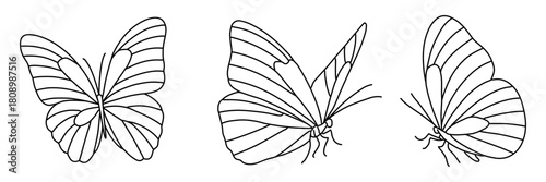 Butterfly line doodle art hand drawn outline sketch set, Simple butterfly black and white outline vector illustration line art