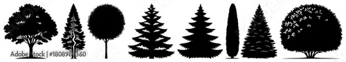 Tree Silhouettes Set of Deciduous and Conifer Forest Icons Vector
