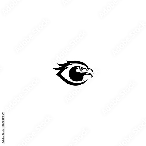 Eagle eye logo design emblem representing vision and perception on white