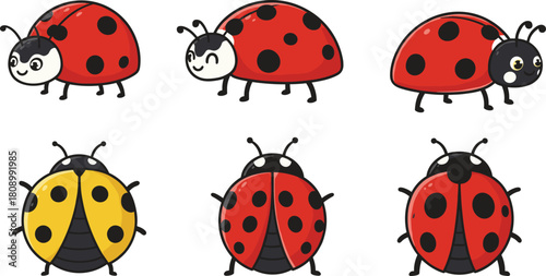 Cartoon ladybugs vector illustration, side and top views, spotted insect characters, playful design, kids content, nature clipart, fun, joy, educational theme