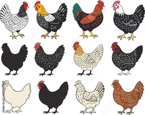 Chicken Breeds Clip Art  - chicken, hen, poultry, farm, vector, illustration, clip art, silhouette, farm animal, 