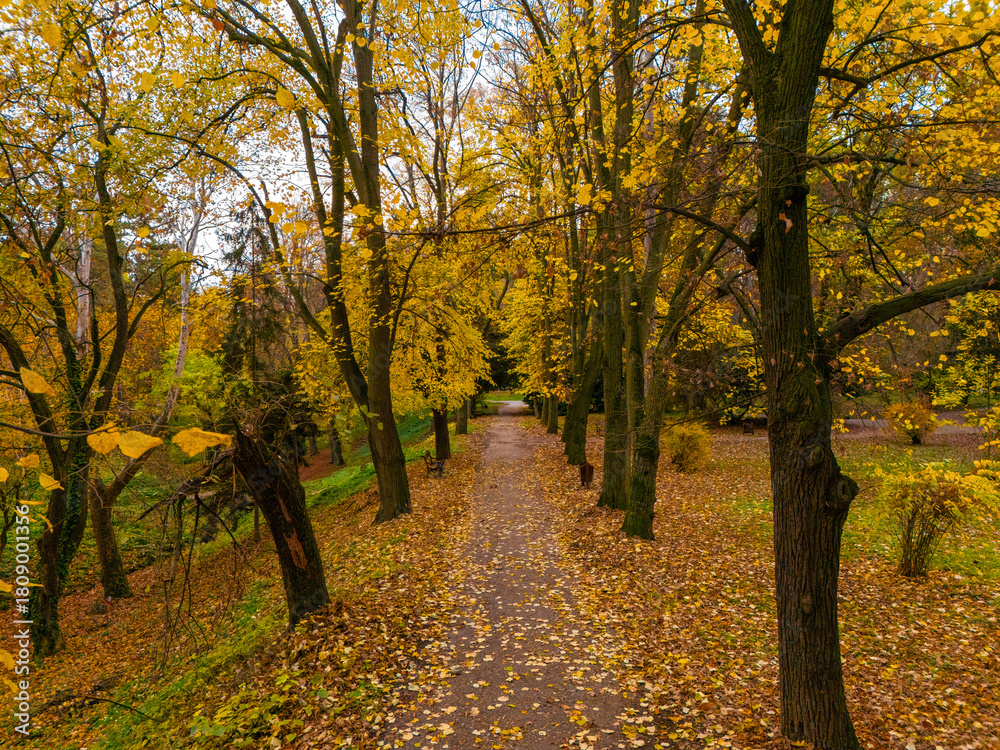 Naklejka premium Beautiful Palace Garden ( serbian: Dvorska basta) in Sremski Karlovci, Serbia