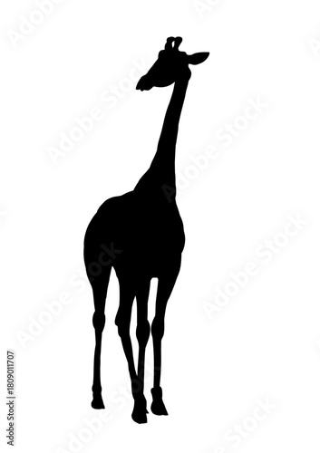 Giraffe silhouette - vector illustration
