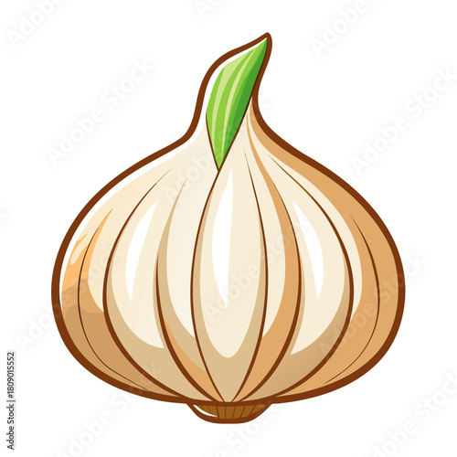 Garlic isolated on white background