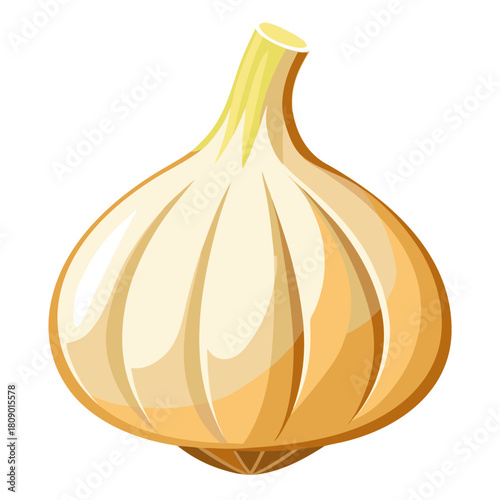 garlic isolated on white background