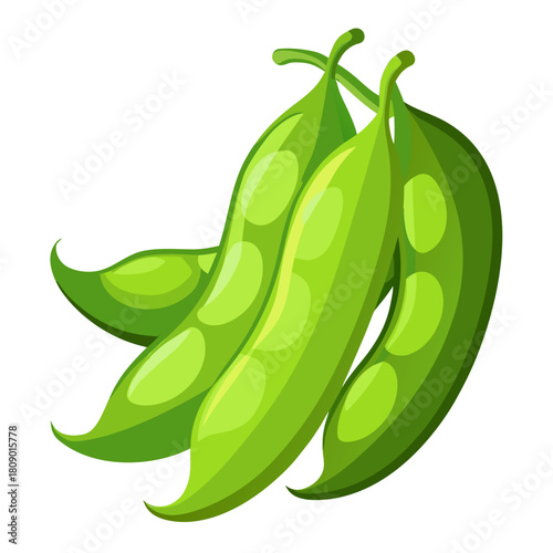 green peas vector illustration
