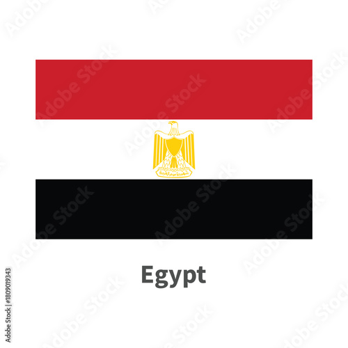 Egypt flag illustration on white background