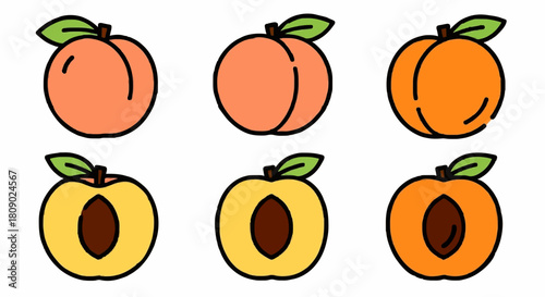A collection of six stylized peach illustrations, featuring whole fruits and halves revealing their inner flesh and pits, each with a green leaf.