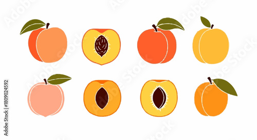 Illustrative depiction of various peaches, whole and sliced, showcasing fruit details.