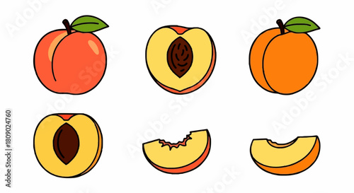 Six illustrations of peaches, whole, halved, and sliced, showcasing the fruit's details.